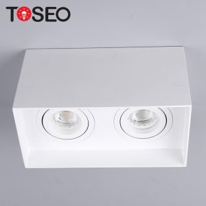 Adjustable Square Double Head Downlight , Surface Mounted LED Light Fittings