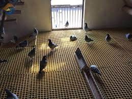 FRP Moulded Grating Customizable