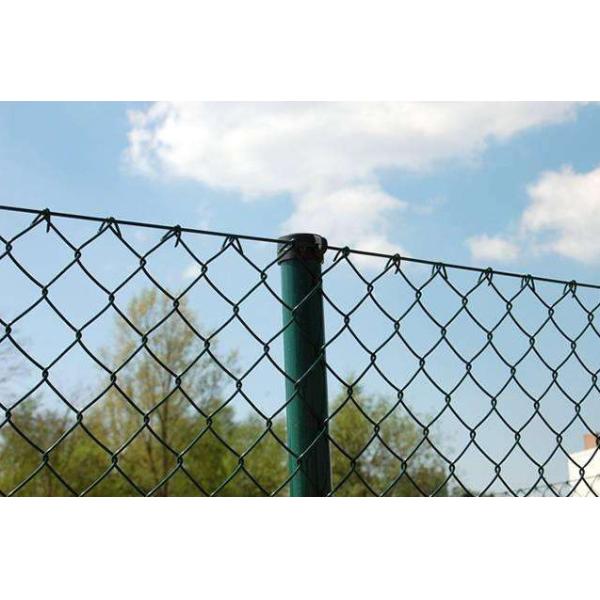 Diamand Galvanized Chain Link Fence 15cm Hole L5m