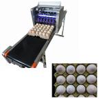 Continuous Eggs Automatic Batch Coding Machine With 0mm - 5mm Printing Distance