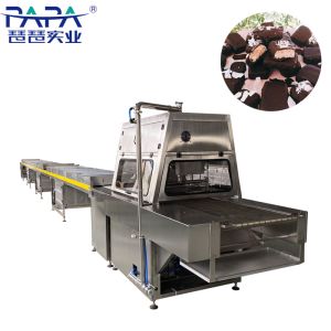 Industrial Large Nuts And Fruit Enrobing Machine