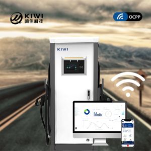 120kW CCS2 Type2 Ocpp1.6 Electric Car Charging Station for Fast Commercial DC EV