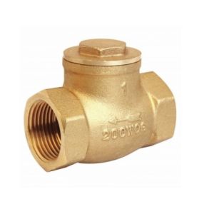 1.6Mpa Plumbing Female Thread Brass Non Return Valve
