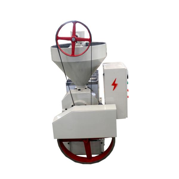 Automatic Oil Pressing Hot&Cold Oil Press Machine For Castor Oil Neem Oil Press Machine