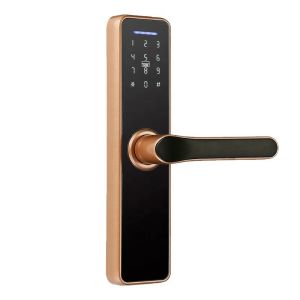 Ttlock Tuya App 35mm Smart Electronic Lock Wifi Password