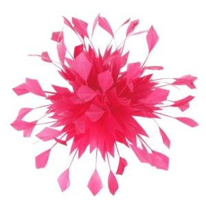 Wholesale 15x15cm Goose Millinery Feather Flowers Feather Mounts With Wire Accessory Pattern Dyed from china suppliers