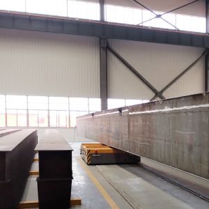 35 Tons Rail Transport RGV Rail Guided Vehicle Self Driven Low Voltage Powered