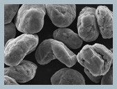 Quality BPP Spherical Graphite Anode Material For Lithium Battery for sale