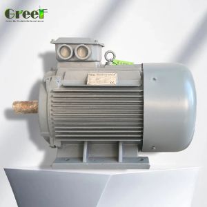 Industrial AlternatorwithMagnet with IP54 Classification of Degrees and Rated