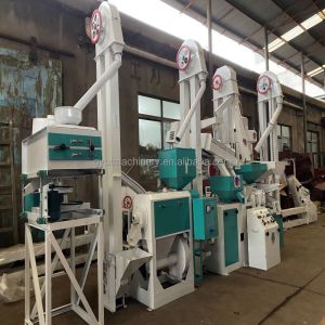 China Easy to Operate 3500 KG Compact Rice Mill with Compact Design and Automatic Function on sale