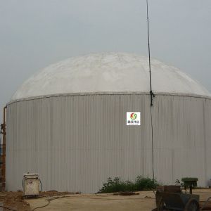 CH4 Anaerobic Digester Tank CO2 Biodigester Plant Continuous Stirred Tank
