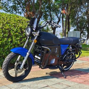 Customized Africa special high-speed electric vehicle for passenger efficient