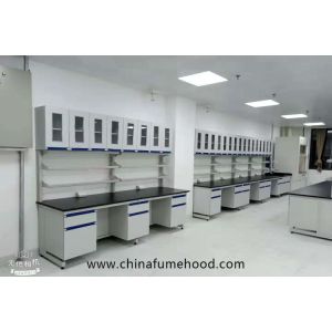 Wholesale Customized Wall Chemistry Lab Furniture With Reagent Shelf Resistance Acid from china suppliers