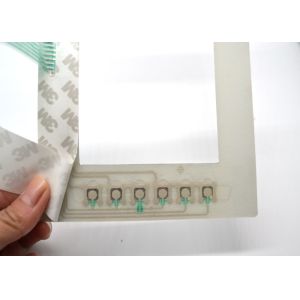 Embossed Tactile Membrane Switch Keypad With 3M55230 Back Adhesive