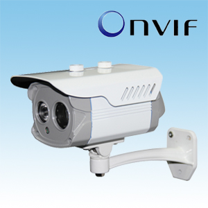 China H.264 Waterproof Megapixel IP Camera with a LED Array 20m IR Range for Outdoor Use on sale