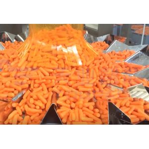 Carrot Conveying Multi Function Packaging Machine 2100 Bags / H For Agriculture