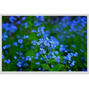 12.1 Inch Lcd Screen 1280x800 Lvds Interface 20 Pins Industrial Medical Lcd