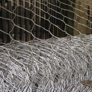 Rustproof Galvanized Wire Mesh Hexagonal Gabion Basket 4x1x1 Gabion Box For