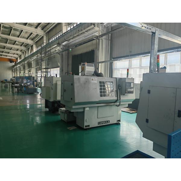 Single / Double Screw Pump Rotor Ceramic Customized