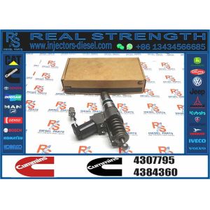 China Common Rail Diesel Engine Fuel Injector 4307795 for N14 QSN14 Diesel Engine 4307795 Fuel Injector on sale