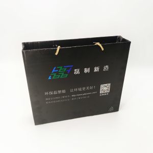 Leiser Corrugated Biodegradable Packaging Bags 4C Printing