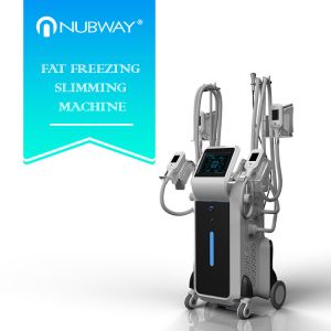 Wholesale 2018 newest design OEM most popular 4 Cryolipoly heads slimming machine for beauty salon from china suppliers