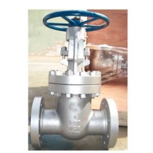 API 600 150LB CF8M Stainless Steel Flanged Gate Valve for Water Media Y Type