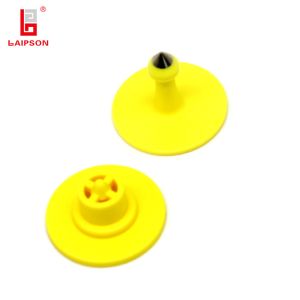 Wholesale Plastic TPU Custom Colorful Rabbit Hare Ear Tag Livestock Marking Tag For Farm from china suppliers