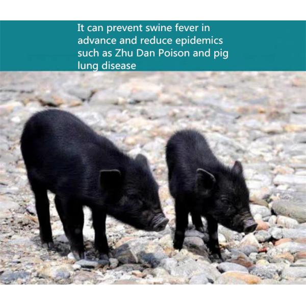 Custom 5g Ozone Generator Ionizer Oxygen Concentrator For Air Purification