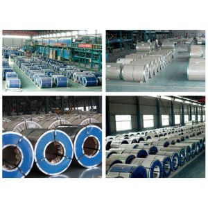 Customized Size and color Anti rust Galvanized Steel Coil 508mm ISO9001