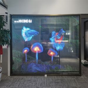 China Customized LED Transparent Film Screen for Advertising Video Wall P6DC5V WE1314RGB 16bit on sale