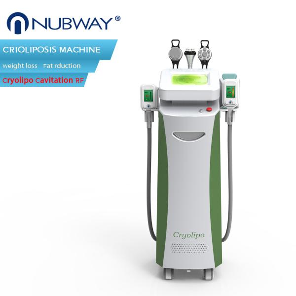 Newly-designed!!! The most featured Cryolipolysis Slimming device Green Vertical