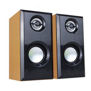 Hi-Fi Active Bookshelf Speaker with 4" Full-Range Driver and 1W Distortion