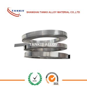 0.3*12mm Nicr8020 Nicr Alloy Nichrome Nickel Chromium Alloy Ribbon Strip