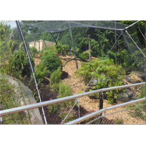 China Wear Resisting Stainless Steel Cable Trellis Mesh For Green Wall Foundation on sale