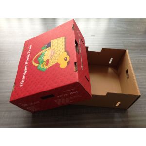 Fruit vegetable corrugated paper carton paper box on hot sales competitive price