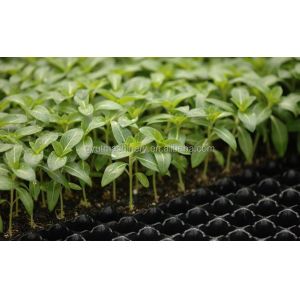 Upgrade Your Harvesting Process with 1200mm Aquaponics Microgreens Harvester 170