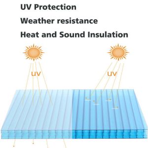 4mm 6mm 8mm 10mm Colored Clear Twin Wall Polycarbonate Sheet For Skylight