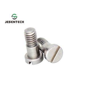 Small Tolerance Custom Bolts And Screws Flat Slot Head Type For Testing