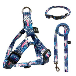 3 In 1 Dog Harness Set Nylon Dog Harness Leash For Walking Pets