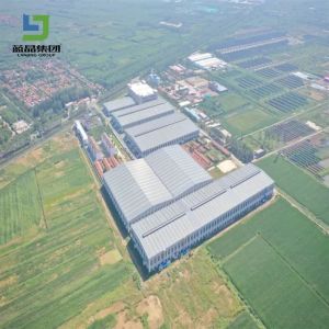Factory Supply Prefabricated Customized Engineered Steel Structure Building