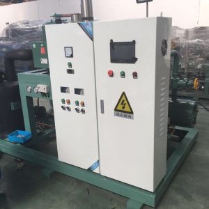 Chinese Manufactory Low Temperature Single Screw Compressor Condensing Unit
