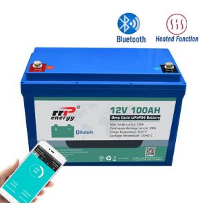 Bluetooth CC-CV 12V 100Ah Lifepo4 Lithium Battery BMS