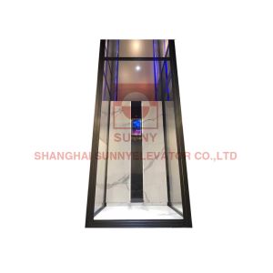 China 450kg Customized Panoramic Passenger Residential Home Elevator on sale