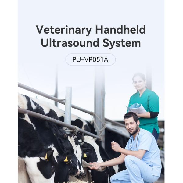 Yonker Portable Ultrasound Machine Ultrasound Machine for Animal/cattle Cow Horse Goat Use Veterinary Instrument