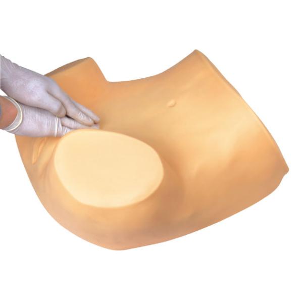 Education tool gynecologic simulator IUC , pelvic examination for University