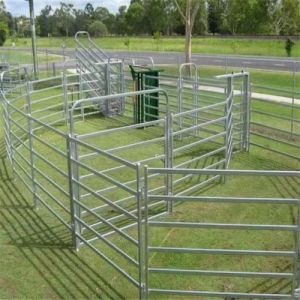 10 Foot Galvanized Pipe Portable Cattle Farm Fence Panel