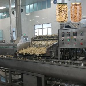 Custom Mushroom Canned Food Production Line Automatic Machines