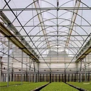 Package Size 50.00cm * 60.00cm * 50.00cm Multi Span Greenhouse with Drip