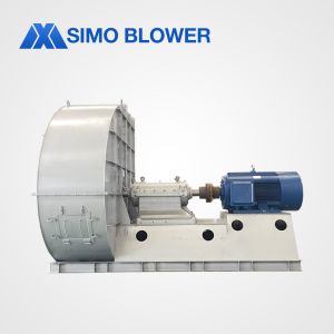 Textile Power Plant 45 Ton Boiler Equipped with Primary Fan